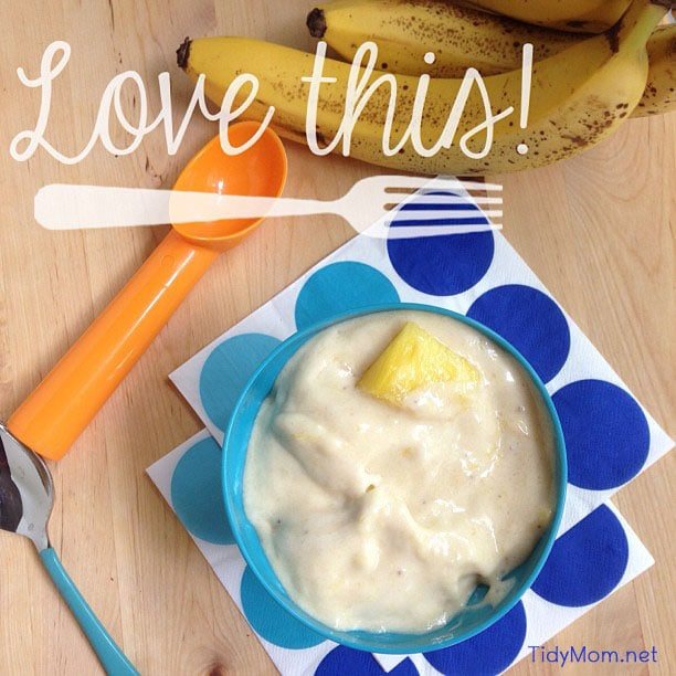Love This 1 Ingredient Ice Cream at cetcu.com