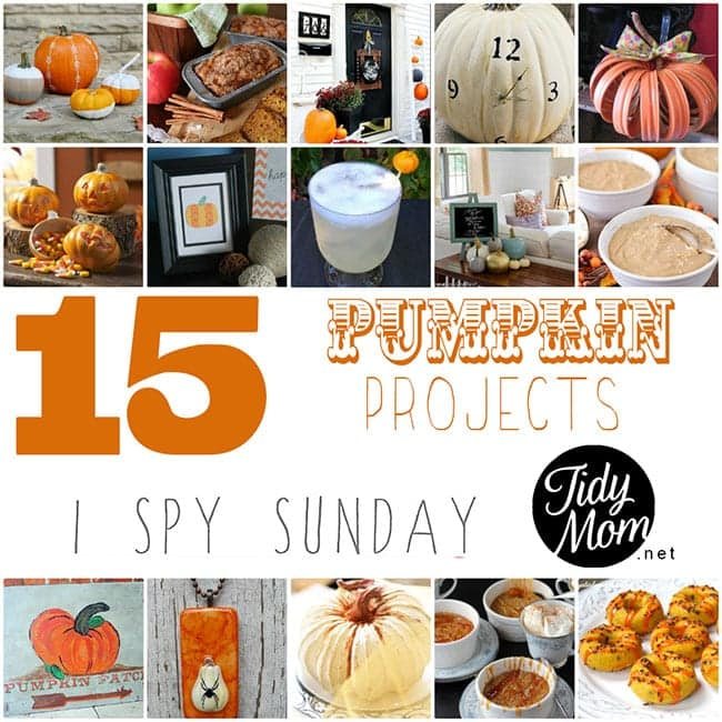 15 Pumpkin Projects | I Spy Sunday