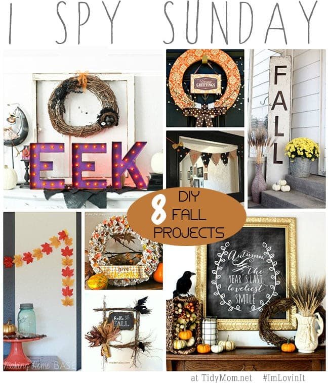 8 DIY Fall Projects | I Spy Sunday