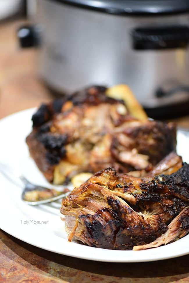 This Amazing Pulled Pork recipe is made in a slow cook roaster for a tender, juicy pulled pork sandwich that is always a big hit! Get this pulled pork recipe at cetcu.com