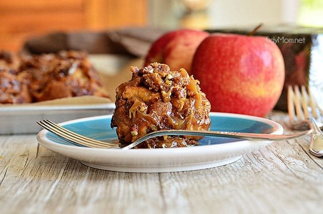 Apple Bacon Sticky Biscuit Cetcu