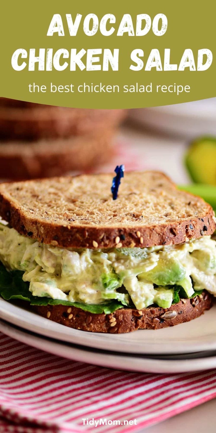 avocado chicken salad sandwich on a plate