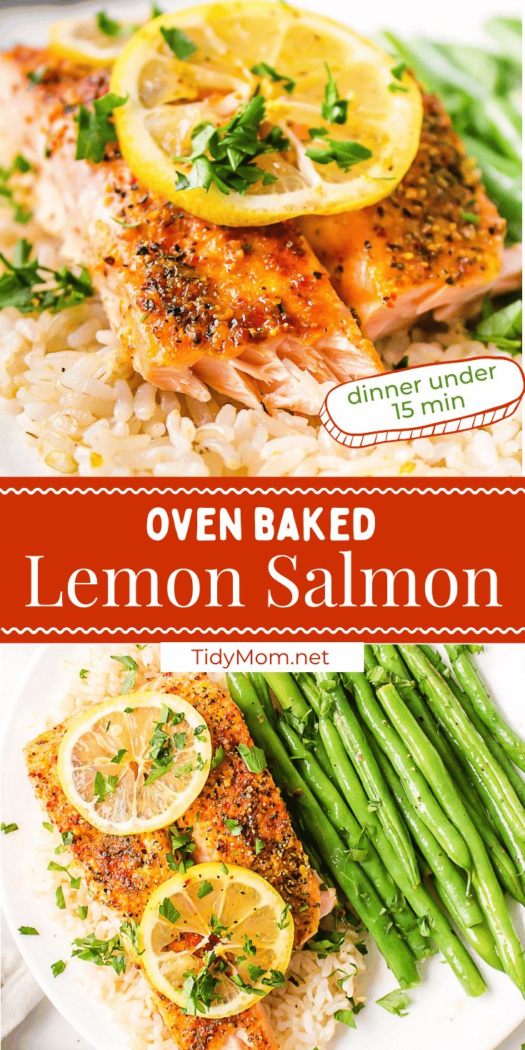 Best Baked Salmon Recipe photo collage