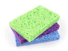 sponges