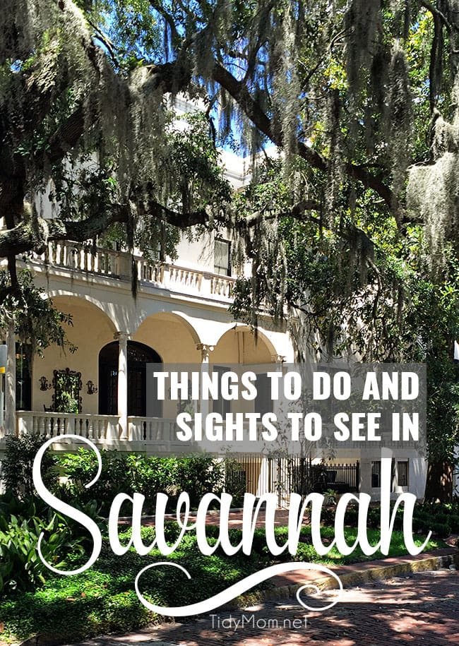 Sights to See in Savannah Georgia