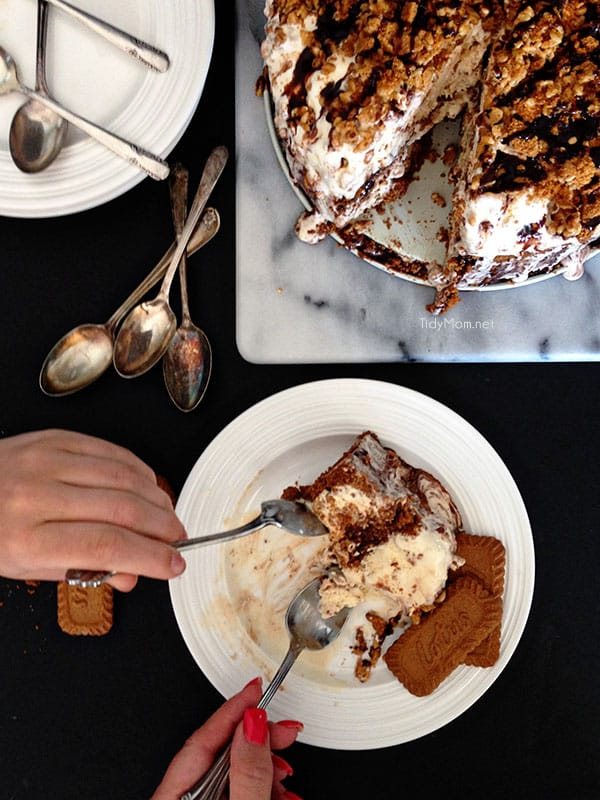 Biscoff Ice Cream Cake recipe at cetcu.com share it with someone you love.