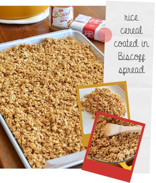 Rice ceral coated in Biscoff spread