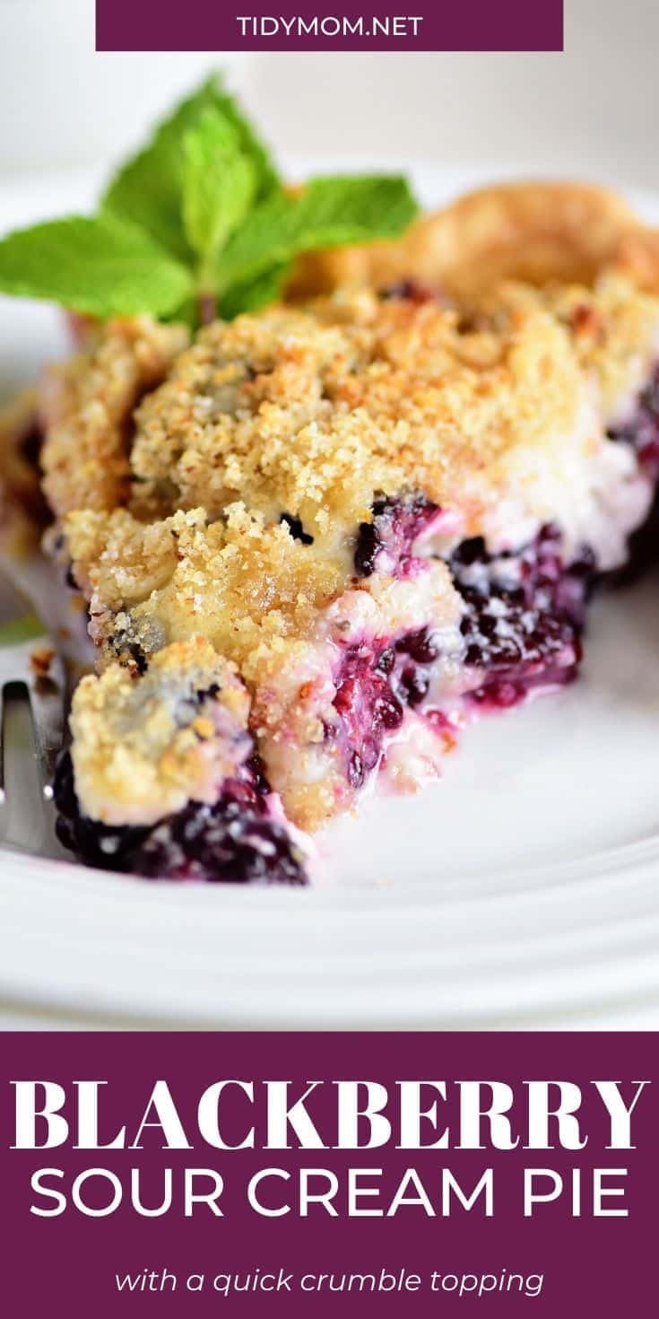 slice of blackberry pie with fresh mint garnish