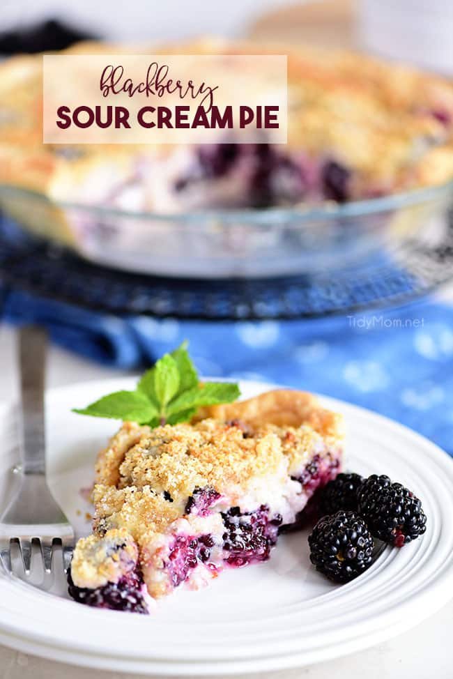Blackberry Sour Cream Pie