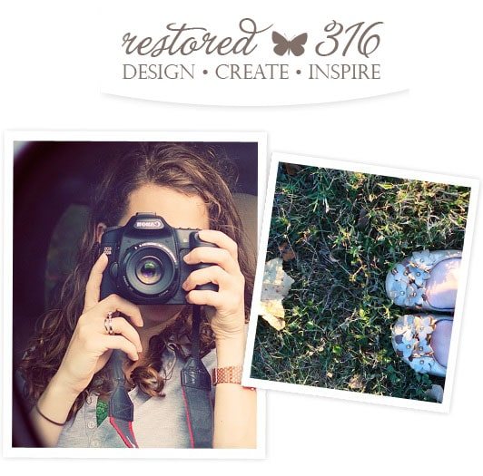 My New Site Design with Restored 316: I’m Lovin’ It