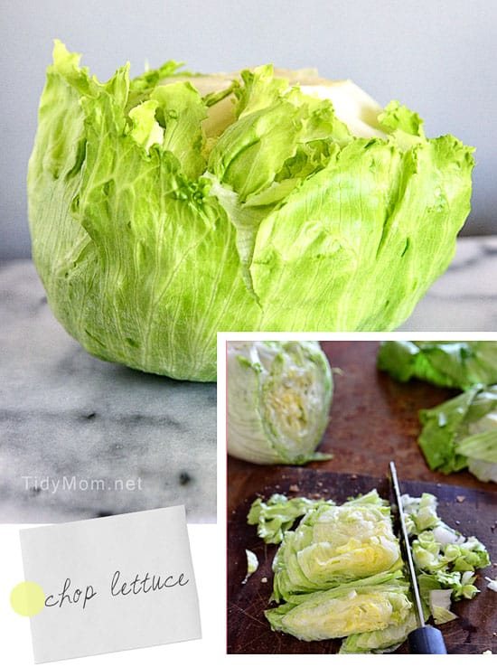 chopping iceberg lettuce at cetcu.com
