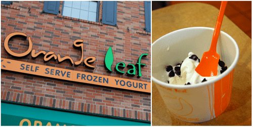 Frozen Yogurt
