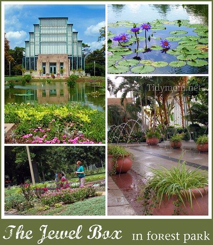 The Jewel Box collage {Forest Park} St. Louis, MO