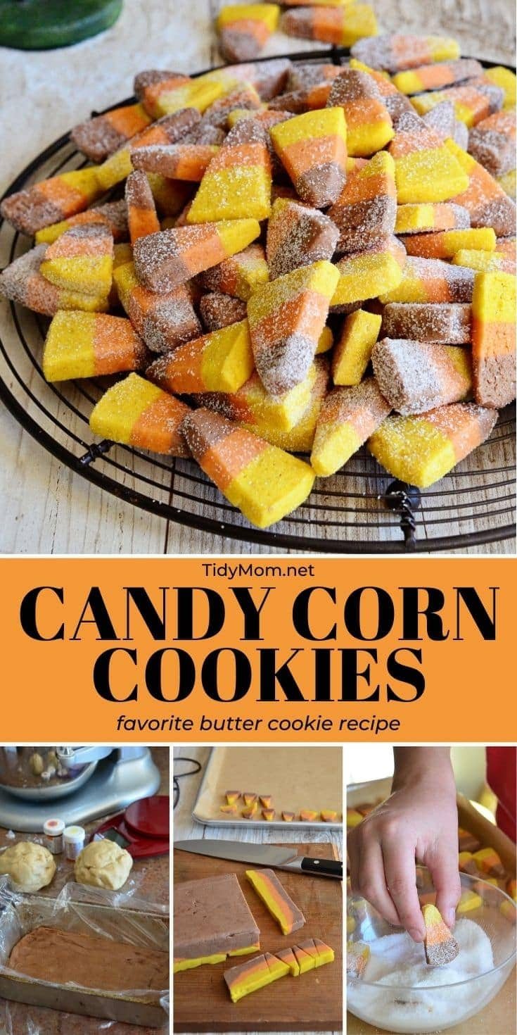 fall holiday cookies on tray photo collage