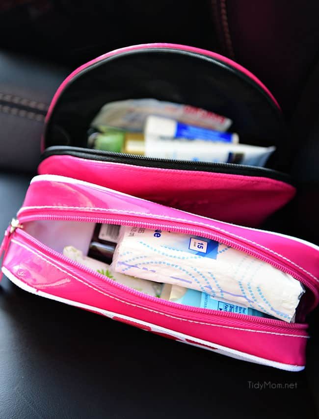 Clever ideas and tips for car organization at cetcu.com