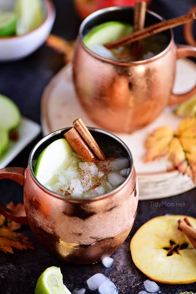 A Caramel Apple Moscow Mule is perfect for autumn! Made with sweet caramel vodka, fresh apple cider, and ginger beer it’s sure to become a favorite fall cocktail! Get the recipe at cetcu.com