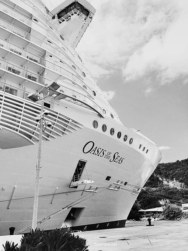 Royal Caribbean Oasis of the Seas cruise ship photo