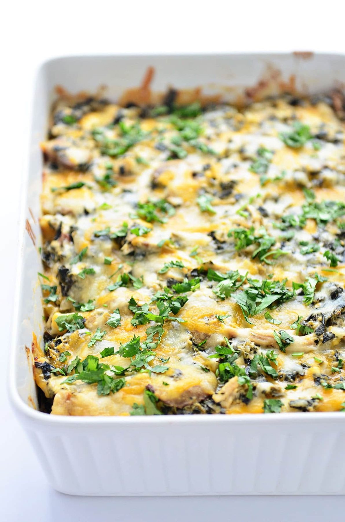 Easy Chicken Enchiladas Casserole in a white dish and garnished with fresh cilantro