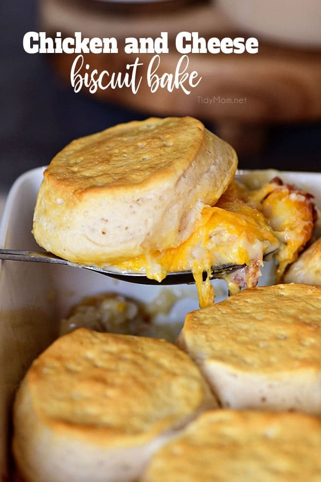 Chicken and Cheese Biscuit Bake