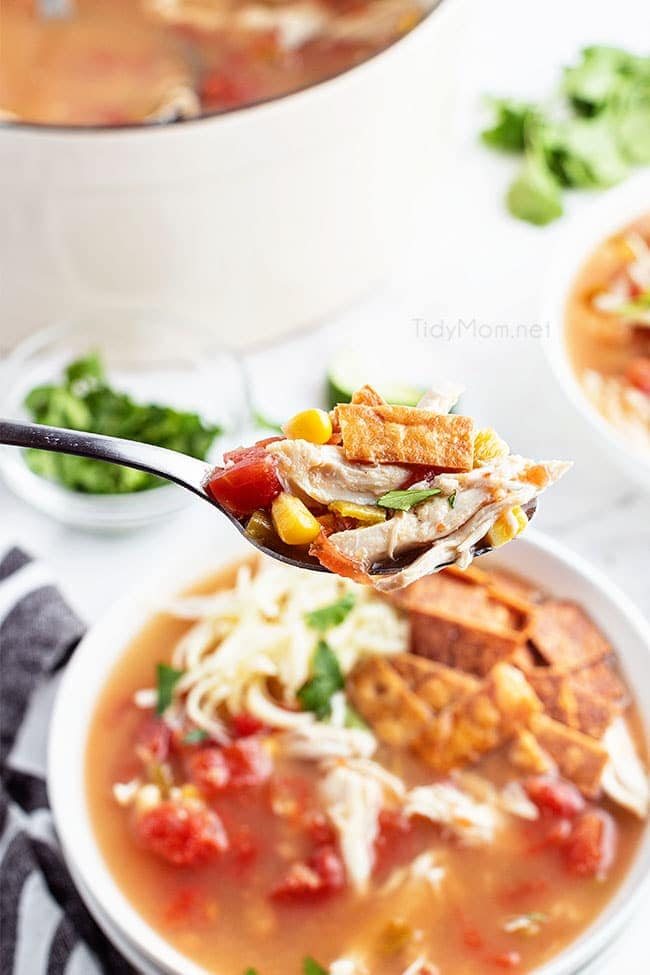 a spoonful of full of tortilla soup