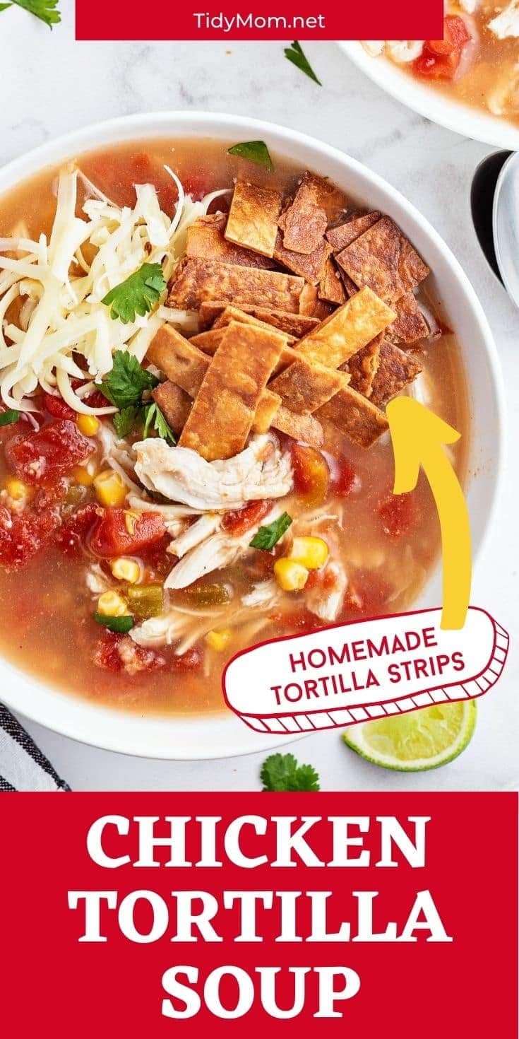 soup with home made tortilla strips on top
