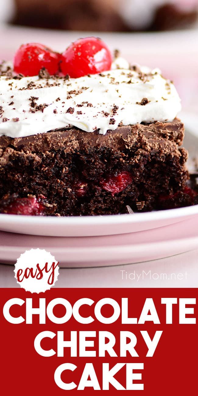 a piece of chocolate cherry cake with whipped cream on top