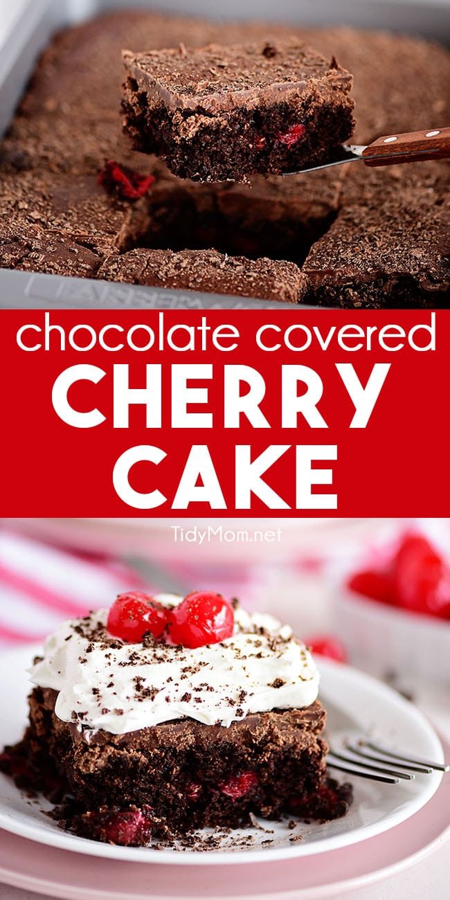 a piece of chocolate cherry cake photo collage