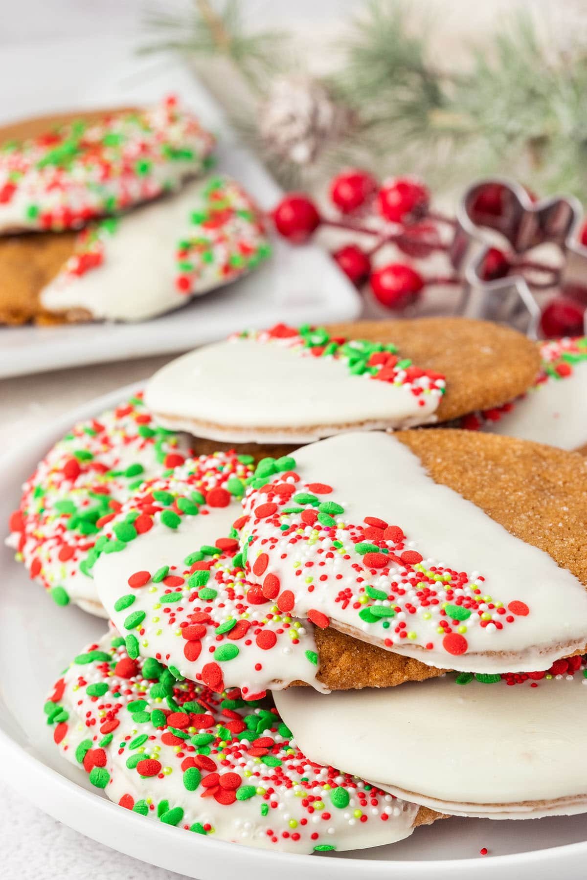 White Chocolate Dipped Soft Gingerbread Cookies