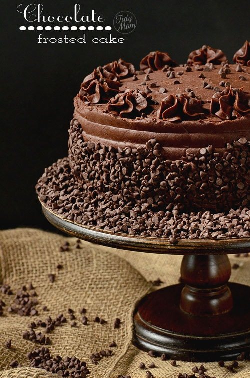 Dark Chocolate Frosted Yellow Cake with Raspberry Preserves
