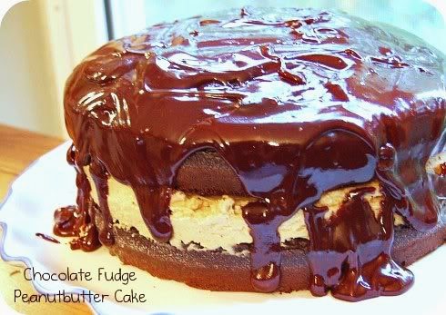 Buckeye Chocolate Fudge Peanut Butter Cake at cetcu.com