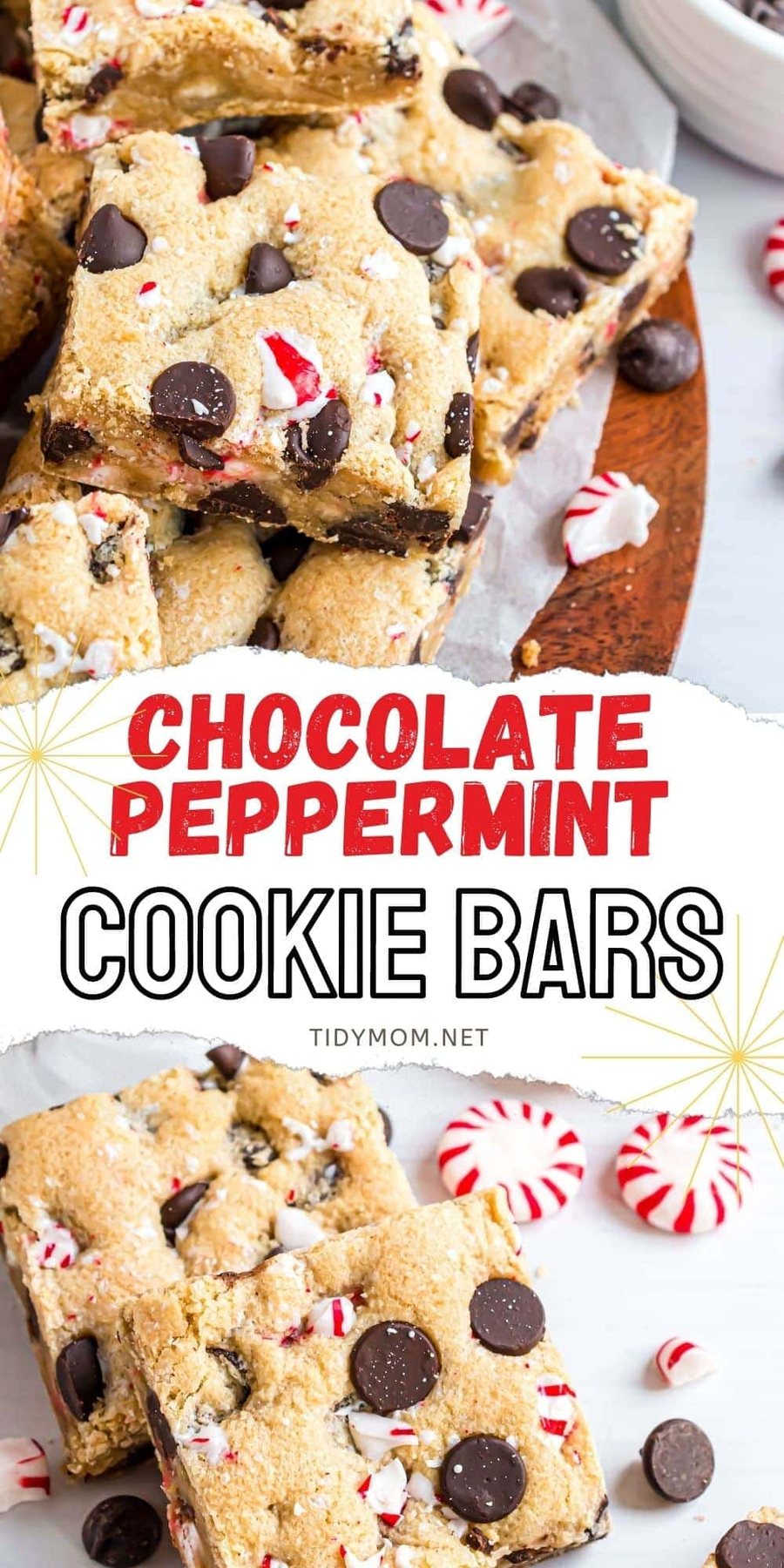chocolate peppermint cookie bars close up
