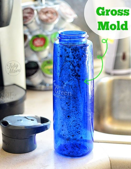 Moldy Mishap | How to clean mold from a bottle #bleachitaway