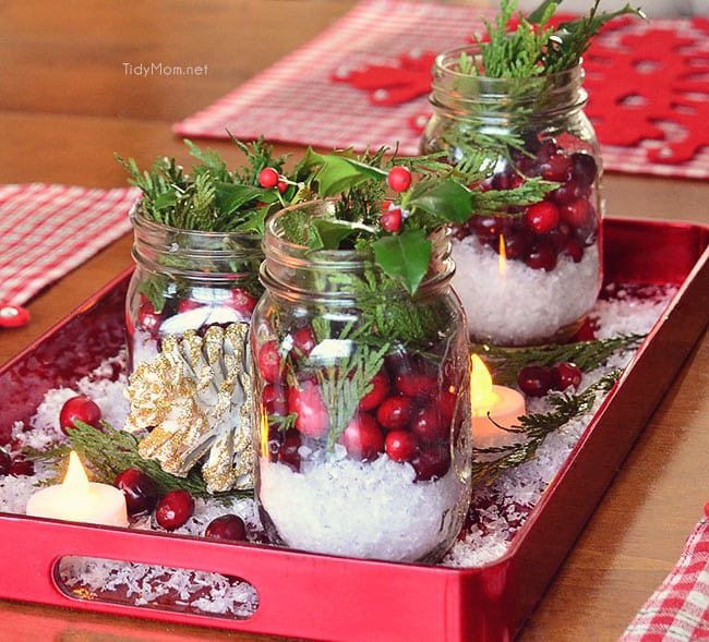There is something magical about bringing the outside in, with this Easy Cranberry Centerpiece for the holidays. learn more at cetcu.com