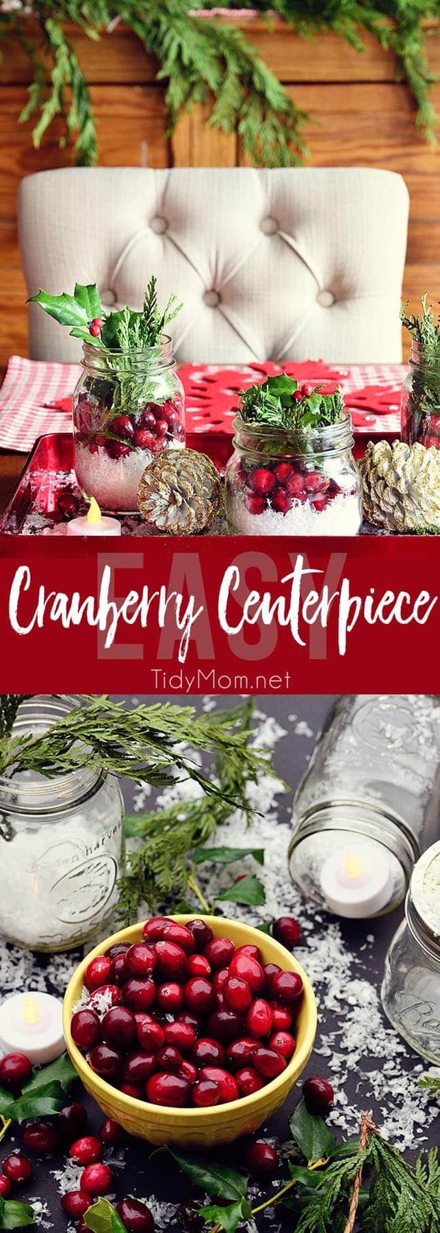 There is something magical about bringing the outside in, with this Easy Cranberry Centerpiece for the holidays. learn more at cetcu.com