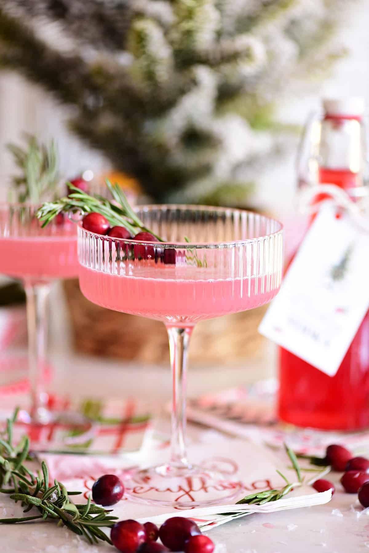 pretty pink cocktail in a coupe glass with cranberry and rosemary garnish
