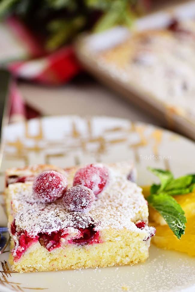 slice of Cranberry Orange Sponge Cake
