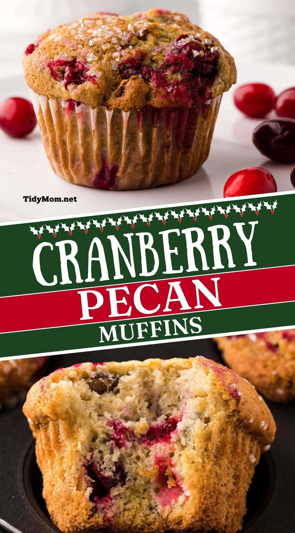 close ups of a fresh baked muffins