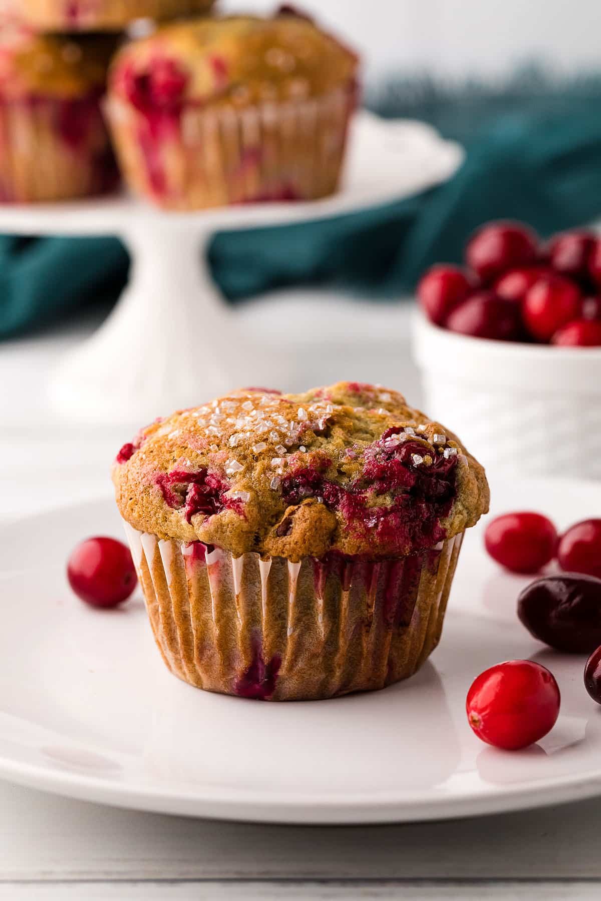 Cranberry Pecan Muffins-Great Bake Sale Idea
