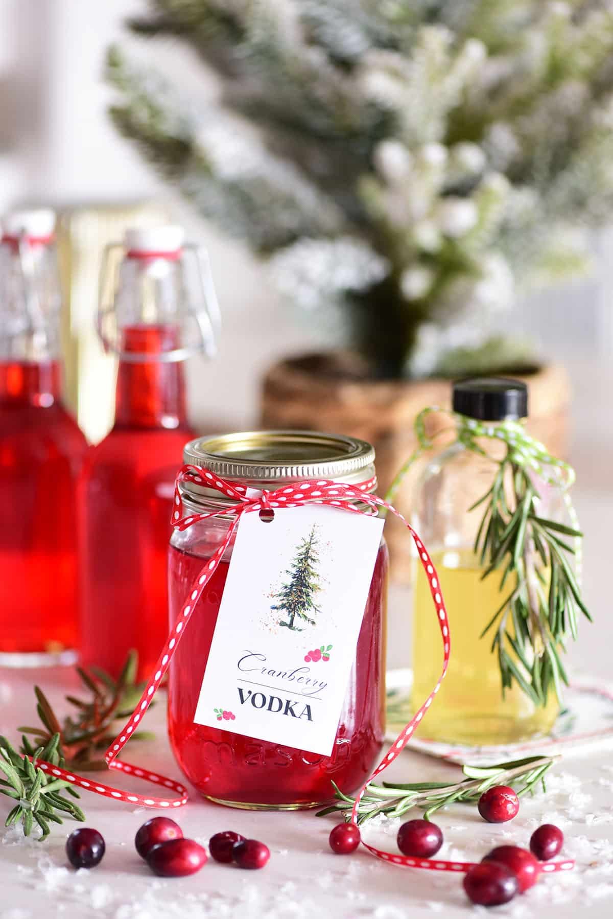 Cranberry Vodka Infusion (Homemade Flavored Vodka Gifts)