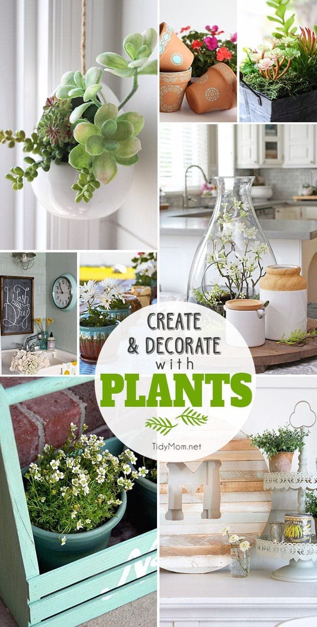 Create and Decorate with Plants