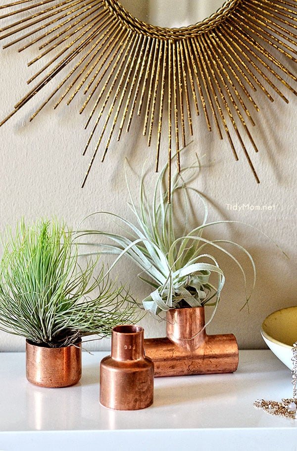Use copper plumbling supplies to display air plants at cetcu.com