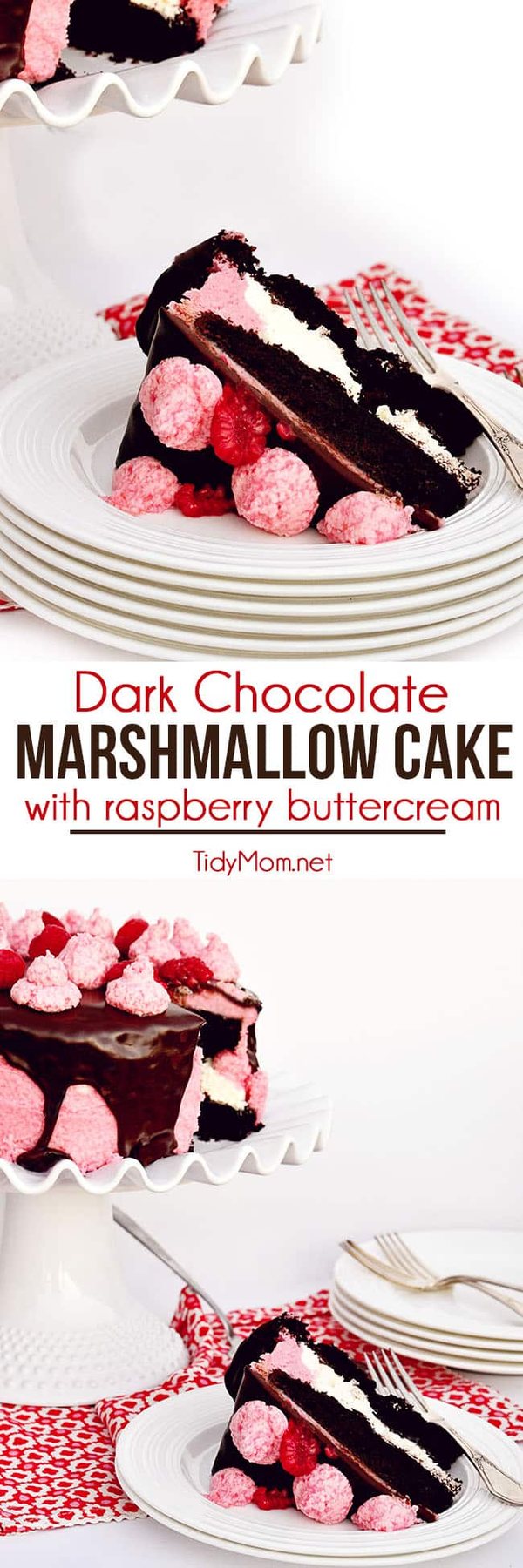 Dark chocolate, toasted marshmallow and raspberries is a delicious combination for a baby shower, birthday party, and perfect for Valentine's Day. Dark Chocolate Covered Marshmallow Cake with Raspberry Buttercream recipe at cetcu.com