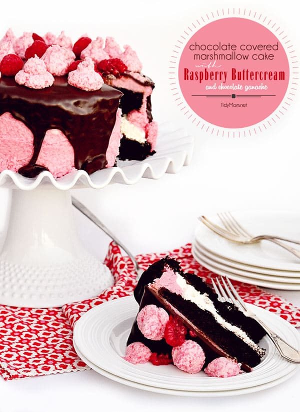 Dark Chocolate Marshmallow Cake with Raspberry Buttercream