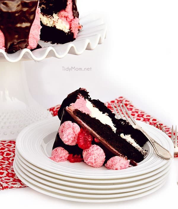 Dark Chocolate Cake with Toasted Marshmallow Filling and Raspberry Buttercream covered Chocolate Gancache recipe at cetcu.com
