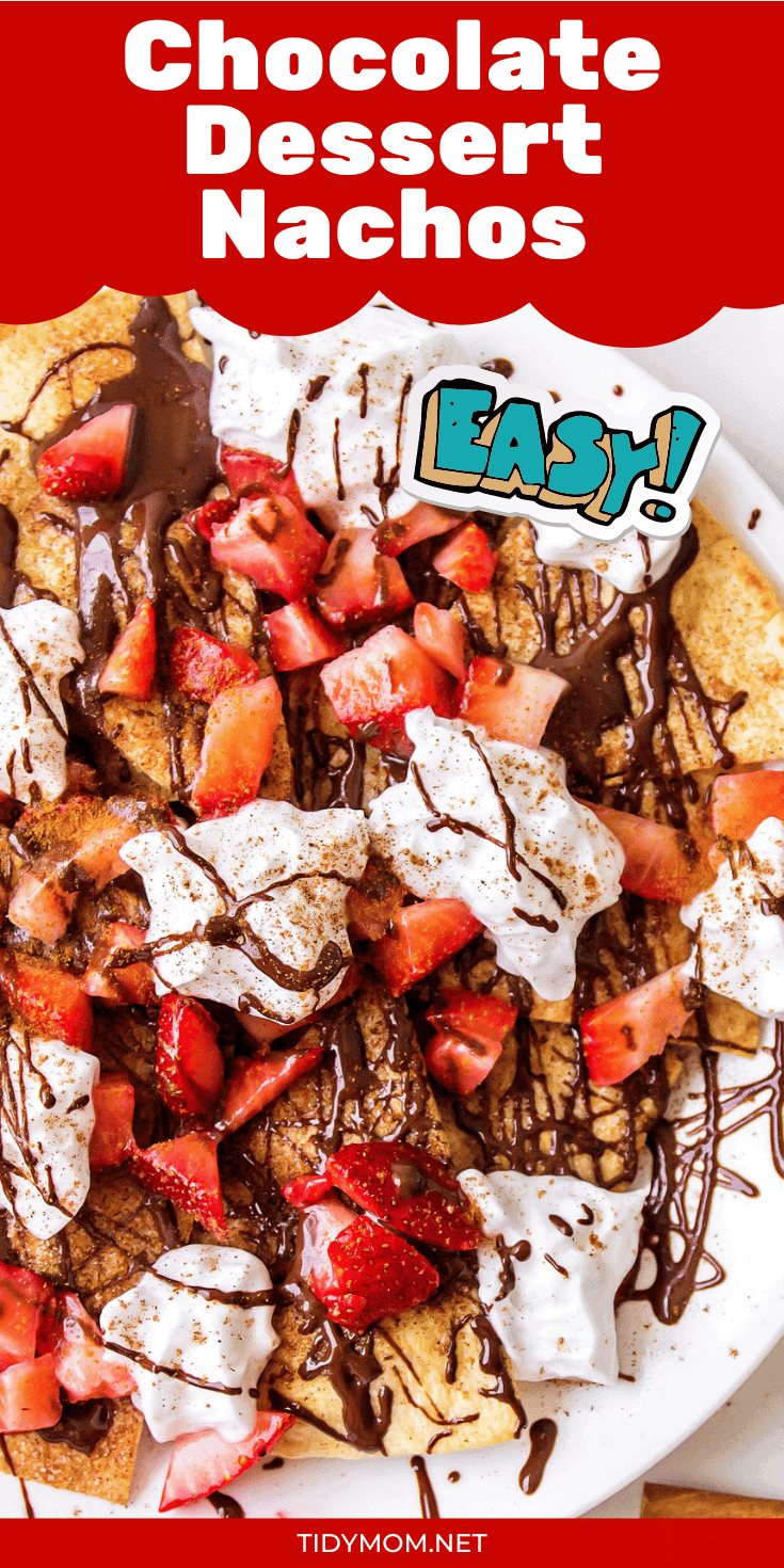 Strawberry and Chocolate Dessert Nachos with homemade cinnamon tortilla chips