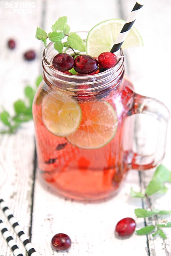 delicious Cranberry Mojito Fizz cocktail