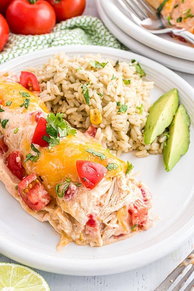 Plate of chicken enchiladas