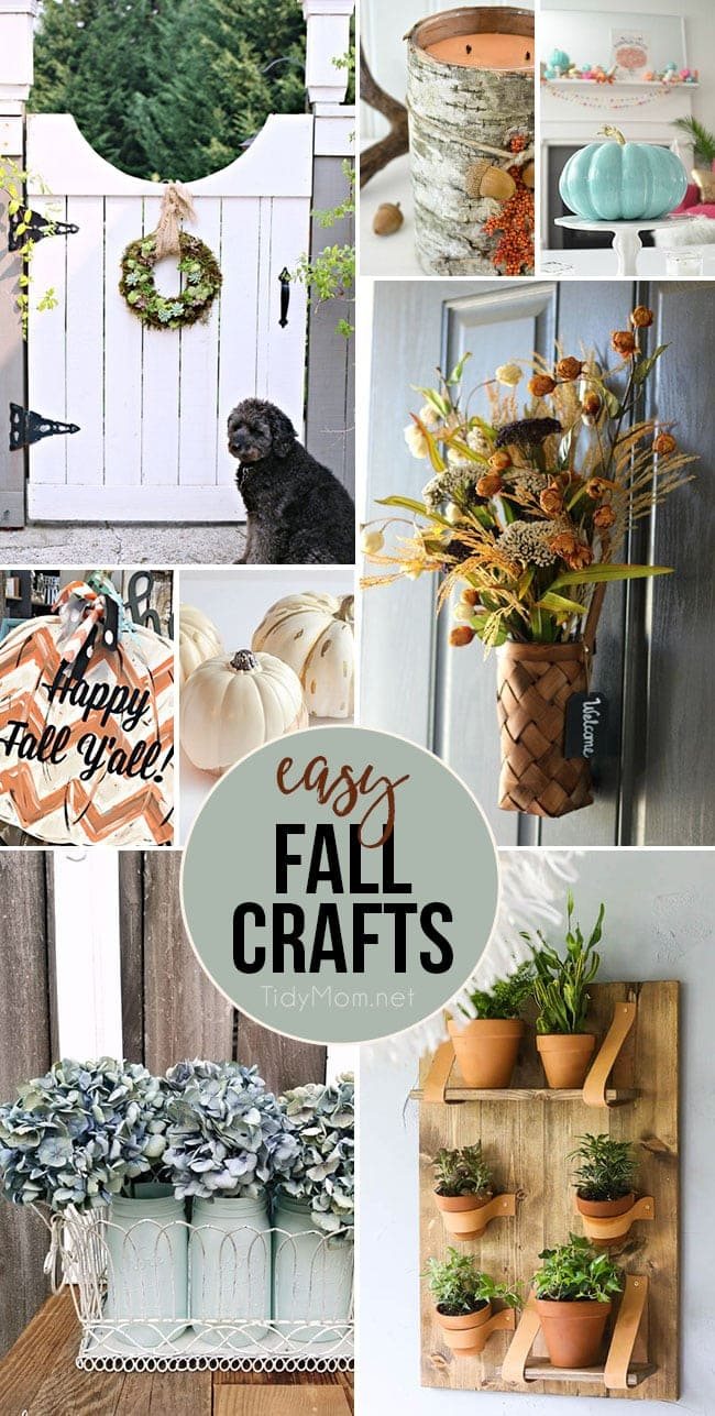 Easy Fall Crafts Anyone Can Make