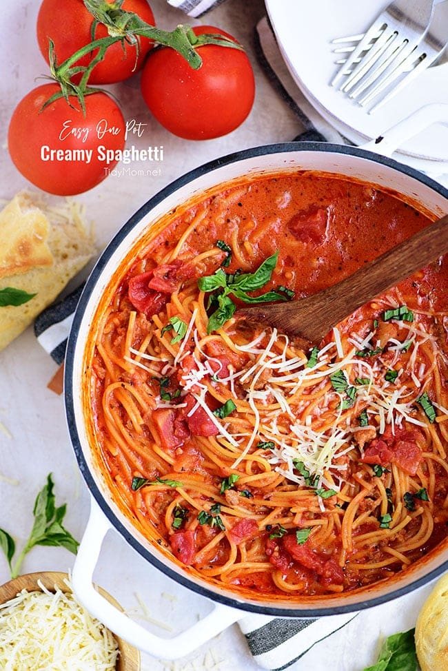 Easy One-Pot Spaghetti Recipe {VIDEO}