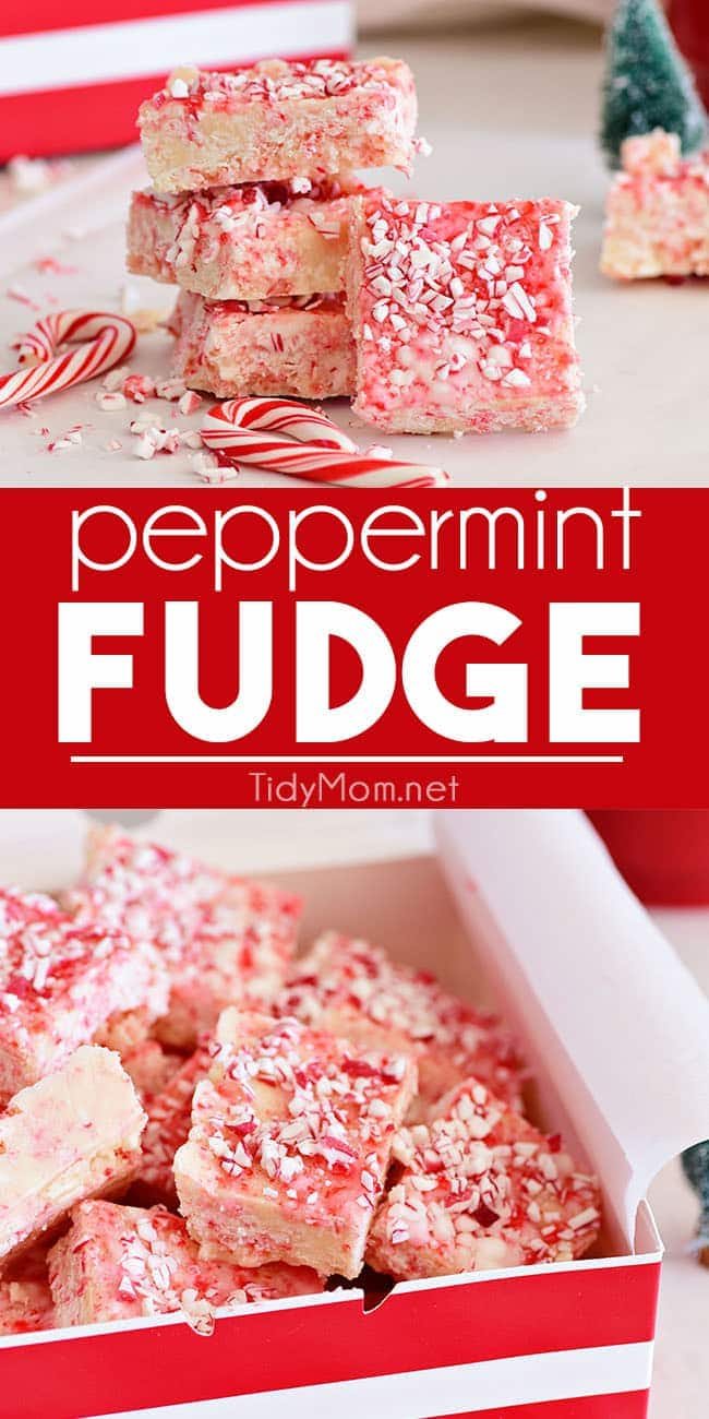 Peppermint Fudge photo collage